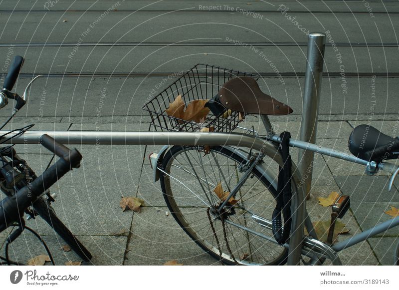 Fahrradfahren mit Herbstlaub im Gepäck Gepäckträger Blätter Gepäckablage parken Fahrradsattel Herbstblätter herbstlich Stadtherbst Bürgersteig Gleise Straße