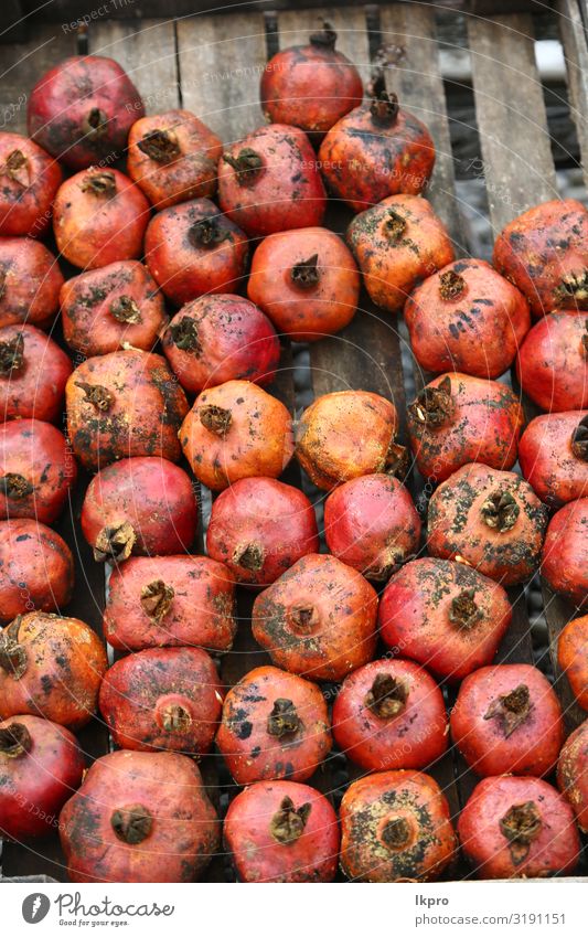 der Markt der armenischen Flüchtlinge Frucht Brot Tee schön Ferien & Urlaub & Reisen Tourismus Feste & Feiern Mann Erwachsene Gebäude Straße alt Armut