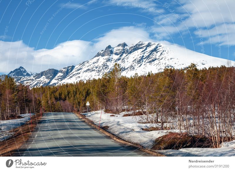 Frühling auf den Lofoten Ferien & Urlaub & Reisen Tourismus Abenteuer Freiheit Berge u. Gebirge Natur Landschaft Klima Schönes Wetter Schnee Baum Wald Felsen