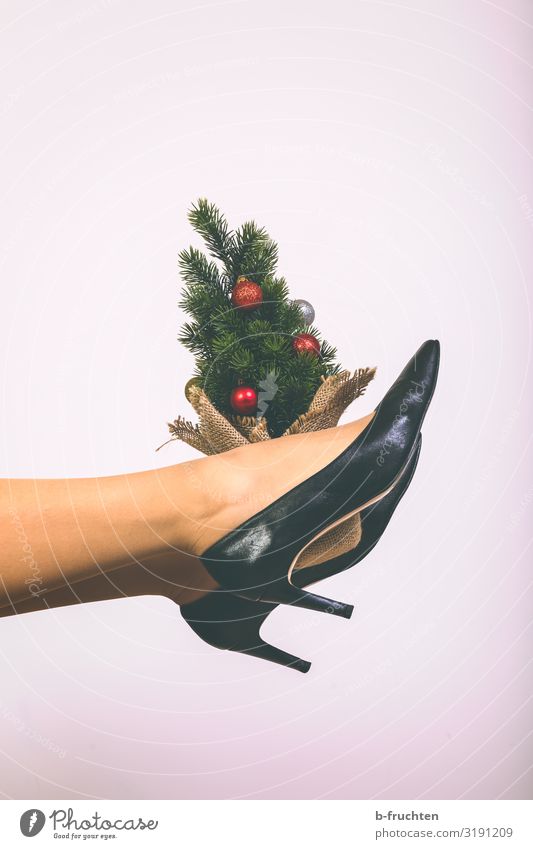 Kleiner Weihnachtsbaum Lifestyle Stil Freude Freizeit & Hobby Wohnung Feste & Feiern Weihnachten & Advent Baum Strumpfhose Schuhe Damenschuhe berühren Bewegung