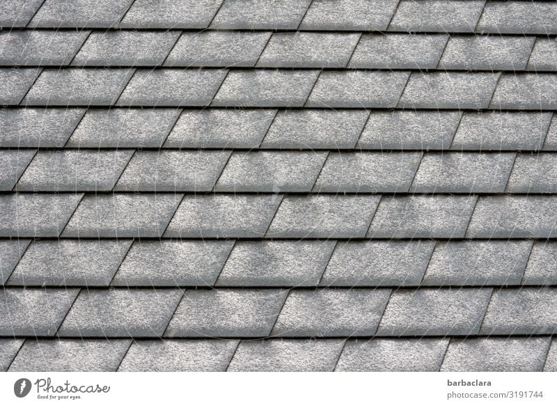 Schneemuster Winter Dach Dachziegel Linie Streifen grau schwarz weiß Design Klima Ordnung Schutz Gedeckte Farben Außenaufnahme Nahaufnahme Detailaufnahme