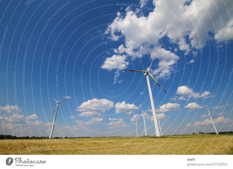 Windmaschinen Landwirtschaft Forstwirtschaft Energiewirtschaft Erneuerbare Energie Windkraftanlage Energiekrise Himmel Wolken Schönes Wetter Pflanze Gras Wiese