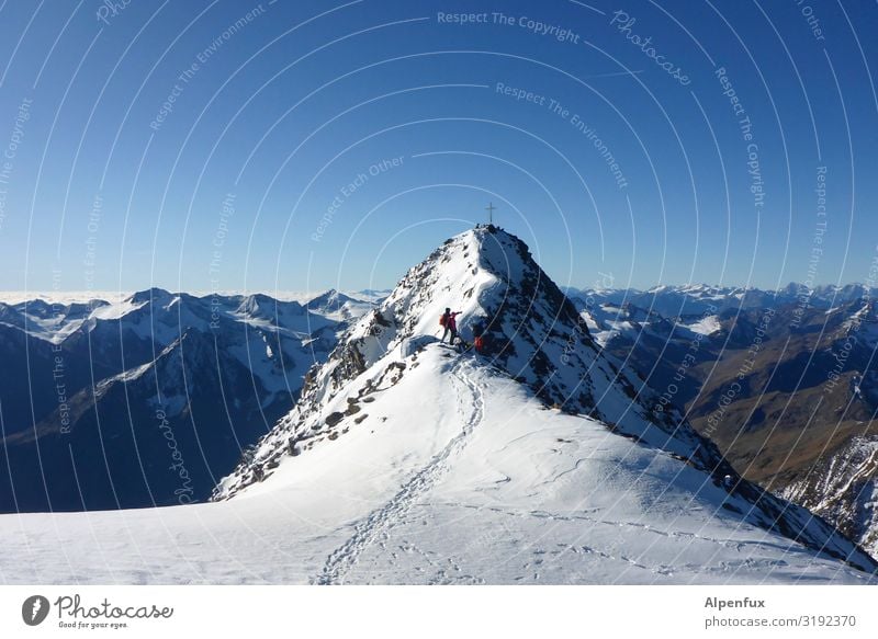 Wildspitze Schönes Wetter Eis Frost Felsen Alpen Berge u. Gebirge Gipfel Schneebedeckte Gipfel Gletscher fantastisch Unendlichkeit kalt Freude Glück