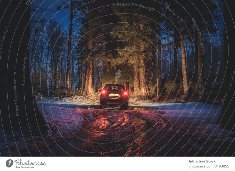 Autofahren auf schmutziger Straße im Abendwald PKW Wald Winter Nacht Reiten dreckig Rücklicht Glanz Illumination Schnee Menschenleer kalt Coolness Jahreszeiten