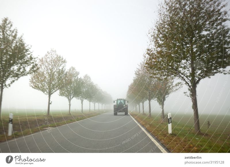 Landstraße im Nebel Dunst gerade geradeaus Herbst Herbstfärbung Landschaft Menschenleer Morgen Perspektive Ferne Sonne Straße Textfreiraum Traktor Wetter Winter
