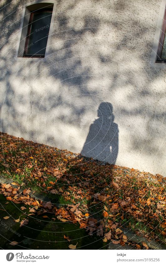 Schatten Lifestyle Freizeit & Hobby feminin Junge Frau Jugendliche Erwachsene Leben 1 Mensch Herbst Blatt Herbstlaub Mauer Wand Fassade Fenster stehen