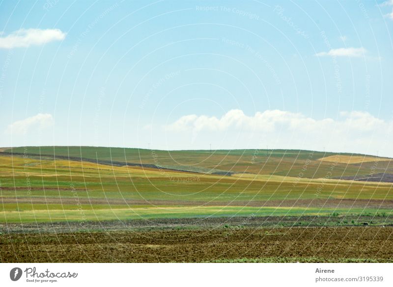 Mischkultur Landwirtschaft Forstwirtschaft Ackerbau Gemüsebau Landschaft Himmel Wolken Sommer Schönes Wetter Nutzpflanze Feld Ebene Anatolien