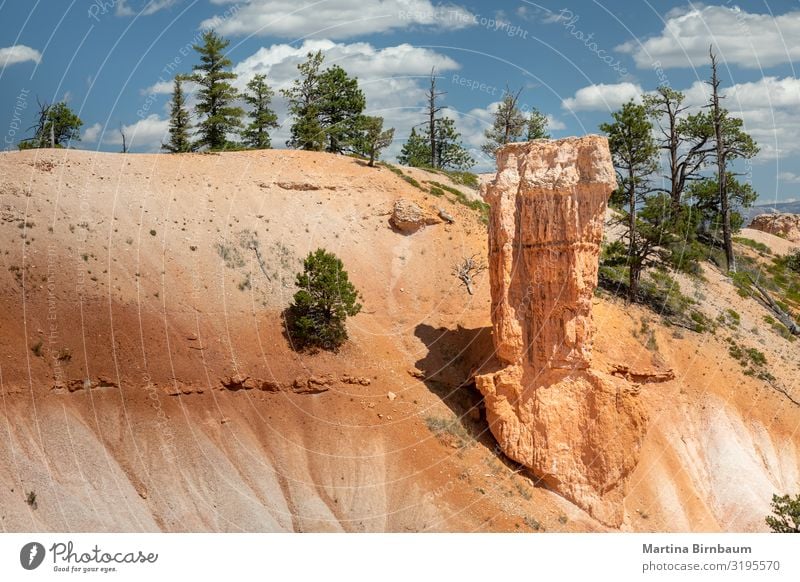 Hoodoos und Bäume am Bryce Canyon, Utah Ferien & Urlaub & Reisen Berge u. Gebirge Natur Landschaft Himmel Park Felsen Schlucht Denkmal Stein gold rot