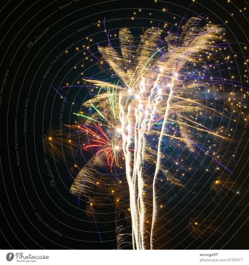 Silvesterfeuerwerk Silvester u. Neujahr Feste & Feiern glänzend leuchten groß nah mehrfarbig Freude Fröhlichkeit Feuerwerk Raketenschweif Langzeitbelichtung