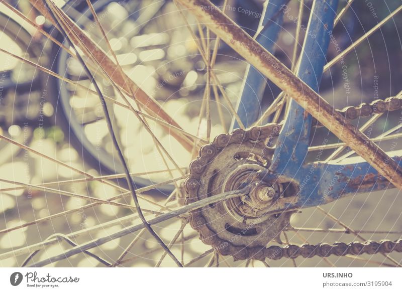vergessenes Fahrrad Fahrradfahren alt blau braun Fahrradkette Rost rostig abgestellt Farbfoto Gedeckte Farben Außenaufnahme Tag Schatten Sonnenlicht