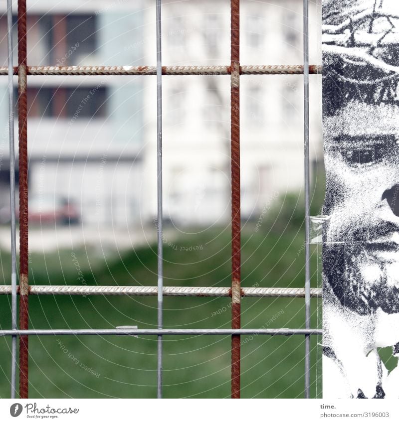 Geschichten vom Zaun (LVI) maskulin Mann Erwachsene 1 Mensch Kunst Gemälde Zeichnung Haus Bauzaun Stein Metall Graffiti Stadt Sicherheit Schutz Ausdauer