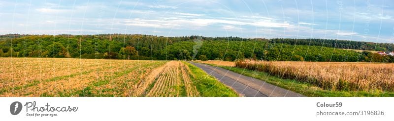 Mittelhessische Landschaft Sommer Landwirtschaft Forstwirtschaft Natur Schönes Wetter Feld Wald genießen gelb Zufriedenheit Erholung Europa Hintergrundbild