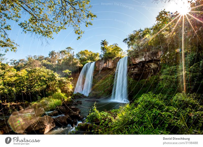 Iguazu: Zwei Schwestern Ferien & Urlaub & Reisen Tourismus Expedition Sommerurlaub Pflanze Wasser Wolkenloser Himmel Frühling Baum Sträucher Moos Urwald Fluss