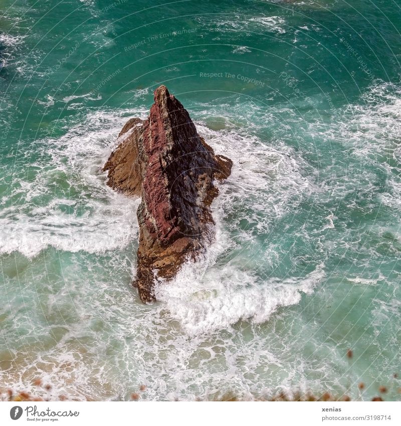 Der steinige Fels in den weißen Wellen Meer Wasser Ferien & Urlaub & Reisen Schönes Wetter Küste Bucht Brandung Butterhole Cornwall England maritim blau braun