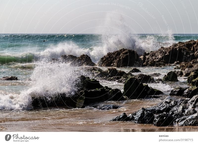 aufpeitschende Wellen am Strand mit Felsen Ferien & Urlaub & Reisen Meer Natur Landschaft Wasser Küste Gischt Trevone Cornwall maritim spritzen Tag