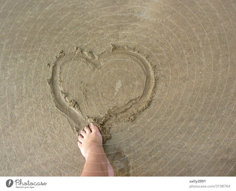 verliebt... Fuß Zehen Strand Zeichen Herz Brunft Liebe träumen Glück Lebensfreude Verliebtheit Romantik Gefühle Kommunizieren Vergänglichkeit Sand Sandstrand