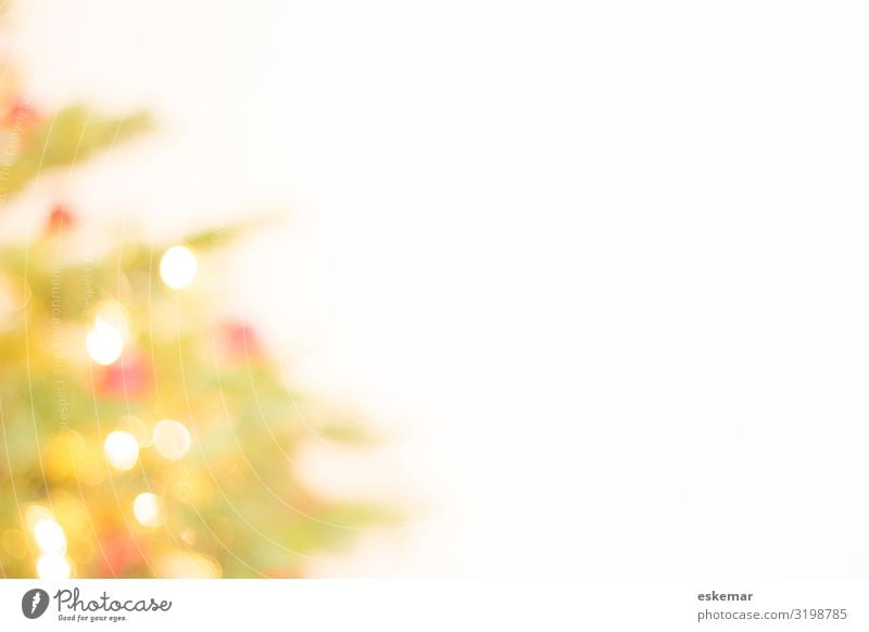 christmas tree Häusliches Leben Wohnung Innenarchitektur Dekoration & Verzierung Weihnachten & Advent Silvester u. Neujahr Pflanze Baum Weihnachtsbaum