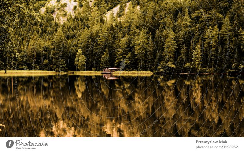 Blick auf ein Holzhäuschen im grünen Kiefernwald am blauen See im ländlichen Sommer Österreichs, Leopoldsteinersee Hintergrund Kabine Küste Cottage Landschaft