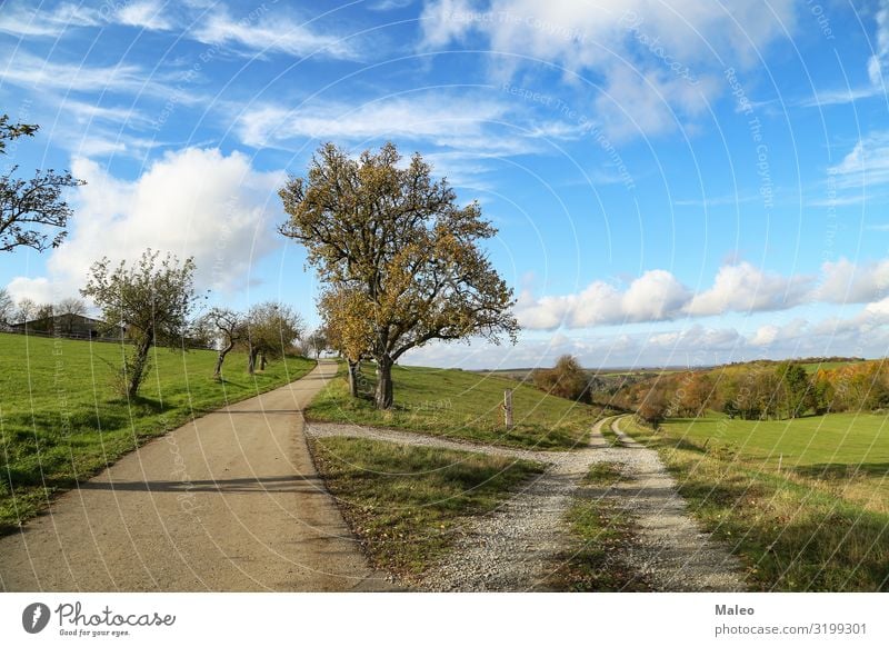 Herbstlandschaft Wolken Landschaft Natur Außenaufnahme Straße Himmel Steppe Sommer Gras trocken schön blau Tag Feld Wege & Pfade Fußweg ländlich Gabel