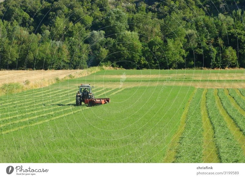 Traktor auf grüner Wiese Arbeit & Erwerbstätigkeit Beruf Landwirt Landwirtschaft Maschine Motor Umwelt Klimawandel Feld Fahrzeug Armut Leben Wachstum pflügen