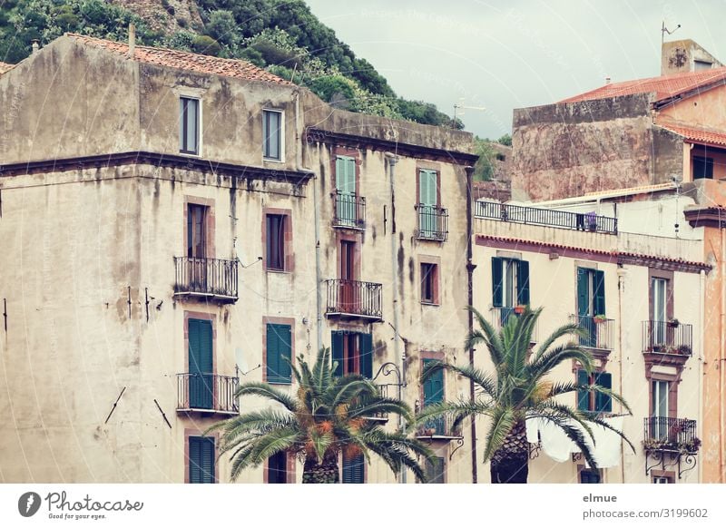 wohnen im Grünen Ferien & Urlaub & Reisen Palme Italien Italienisch Sardinien Bosa Kleinstadt Haus Fassade Balkon alt authentisch historisch einzigartig