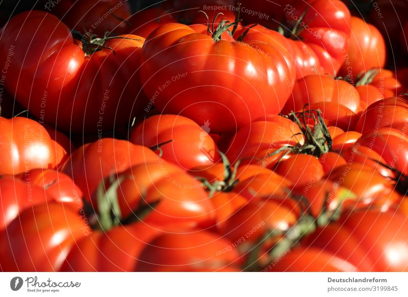 Tomaten Lebensmittel Gemüse Frucht Ernährung Bioprodukte Vegetarische Ernährung frisch Gesundheit glänzend rund saftig Sauberkeit grün rot Diät Vegane Ernährung