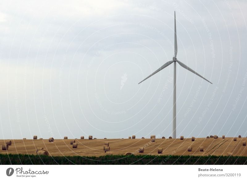 Erntezeit 5 Getreidefelder Strohballen Heuballen Windrat abgeerntet Feld Landwirtschaft Außenaufnahme Ackerbau