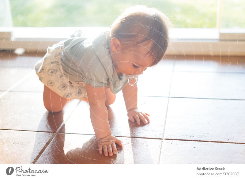 Baby mit Brustwarze im Mund krabbelt auf allen Vieren auf dem Boden krabbeln klein Säuglingsalter niedlich Spielen Freude erkundend schön heiter Kindheit