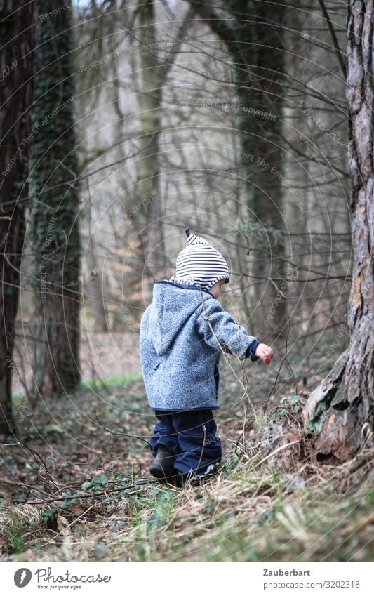 Junge im Wald Ausflug Kind Kindheit 1 Mensch 1-3 Jahre Kleinkind Baum Hose Jacke Mütze Kapuze entdecken Spielen klein blau braun grau Schutz Verantwortung