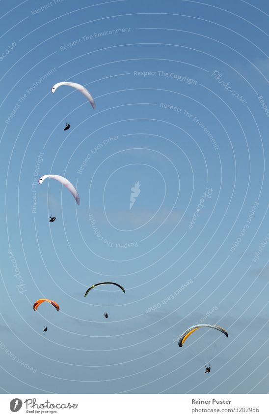 Fünf Paraglider gleiten durch die Luft Ferien & Urlaub & Reisen Sommerurlaub Gleitschirmfliegen 5 Mensch Himmel Wolkenloser Himmel Schönes Wetter Küste