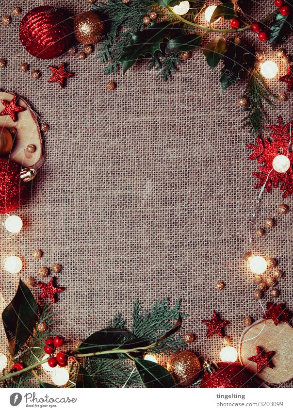 Weihnachtsdekoration Design Dekoration & Verzierung Feste & Feiern Weihnachten & Advent Tanne Kultur rot gold glänzend Lichterkette Mistelzweig