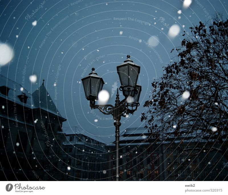 Nach dem Schnee ist vor dem Schnee Himmel Winter Klima Wetter Schönes Wetter Schneefall Baum Stadtzentrum bevölkert Haus Laterne Straßenbeleuchtung Bewegung