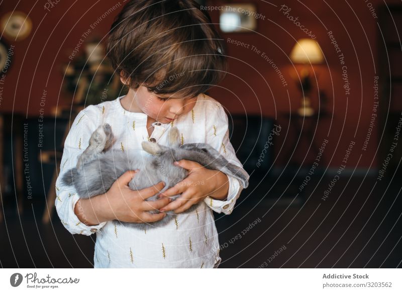 Charmanter Junge mit pelzigem Häschen Hase & Kaninchen reizvoll Tier niedlich Haustier Kind Glück Kindheit Freundschaft Halt Fürsorge unschuldig Reinheit