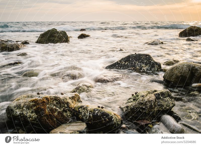 Steinige Küste und Wellen bei schönem Sonnenuntergang steinig winken malerisch nass ruhig Seeküste Himmel Meer Wasser Strand Natur Landschaft Meereslandschaft