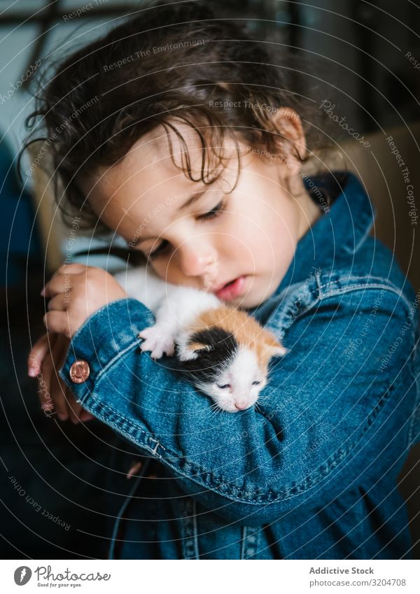 Süßes kleines Mädchen, das zärtlich sein Kätzchen hält Katzenbaby niedlich Halt Kleinkind reizvoll Wohnung Haustier Kindheit Fürsorge Liebe anhänglich