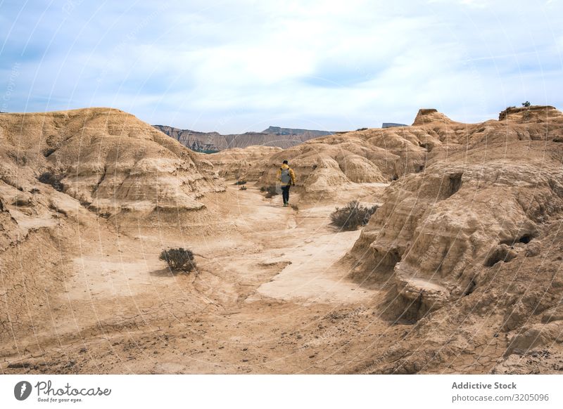 Mann, der auf einer erstaunlichen Landschaft von Wüstenhügeln auf dem Hintergrund des blauen Himmels läuft Hügel Sand Stein Pflanze Ausflug regenarm Natur