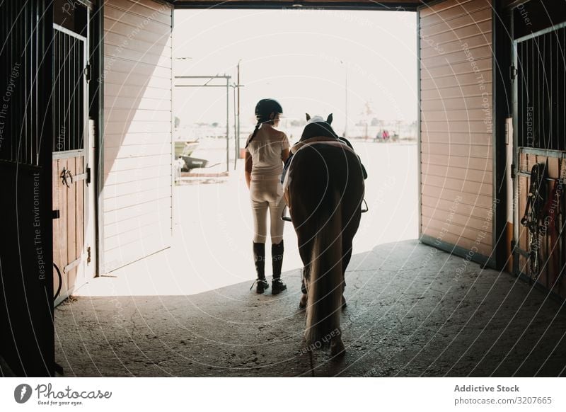 Jockey führt Pferd aus dem Stall Frau Pferdestall Blei lässig bereit Bauernhof Pflege Tier Reiter Aus Scheune Säugetier aktiv Aktivität professionell Sattel