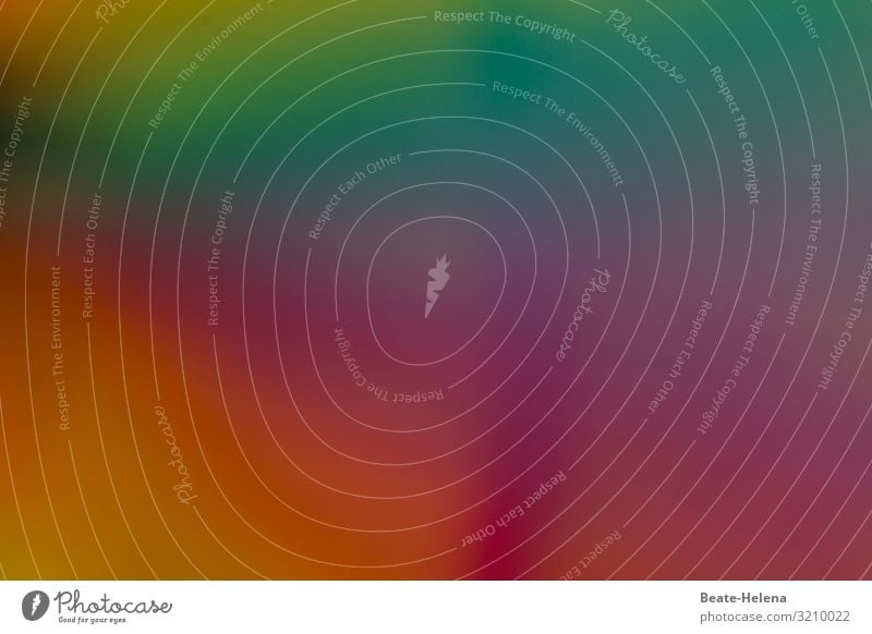 Ganz schön bunt 2 farbenfroh abstrakt mehrfarbig Strukturen & Formen Farbenspiel Kreativität Kunst Farbfoto