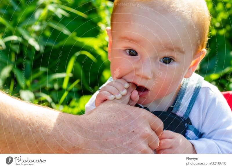 Baby kaut am Daumen von seinem Vater Hand entdecken grün Zusammensein bite biting bright chew chewing closeness cute day experience exploring father fingers