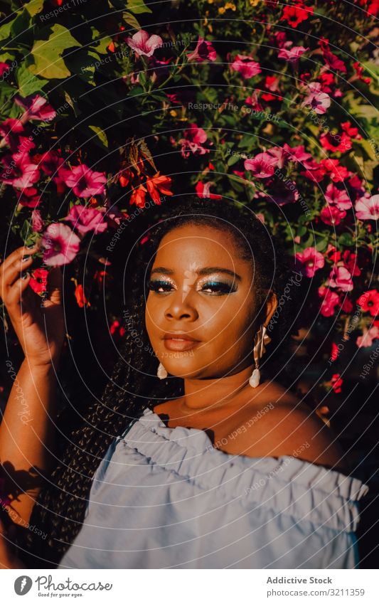 Fröhliche, trendige afroamerikanische Frau, die neben einem blühenden Baum steht trendy blühender Baum freudig stylisch Sonnenschein modern Inhalt attraktiv