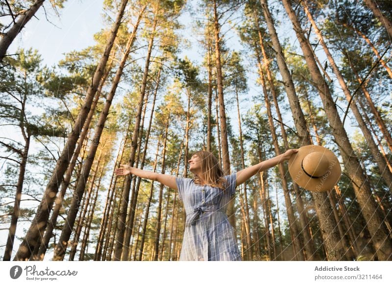 Lächelnde junge Frau entspannt zwischen Kiefern Strahl Wälder sorgenfrei Sonnenlicht Wald Glück Natur lässig sinnlich golden Abenteuer Strohhut blond Kleid