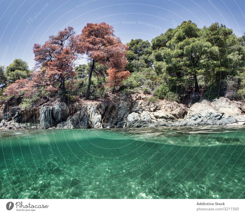 Steinige Insel mit leuchtendem Grün, umgeben von Wasser unter Wasser MEER Gesäß felsig Formation Natur Sommer halkidiki Griechenland türkis blau Umwelt grün