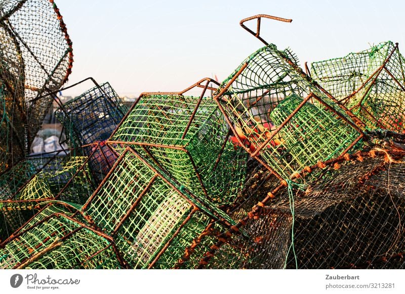 Grüne Körbe für den Fischfang Fischereiwirtschaft Fischernetz Korb Gitternetz Kasten Arbeit & Erwerbstätigkeit fangen eckig grün Stress chaotisch unordentlich