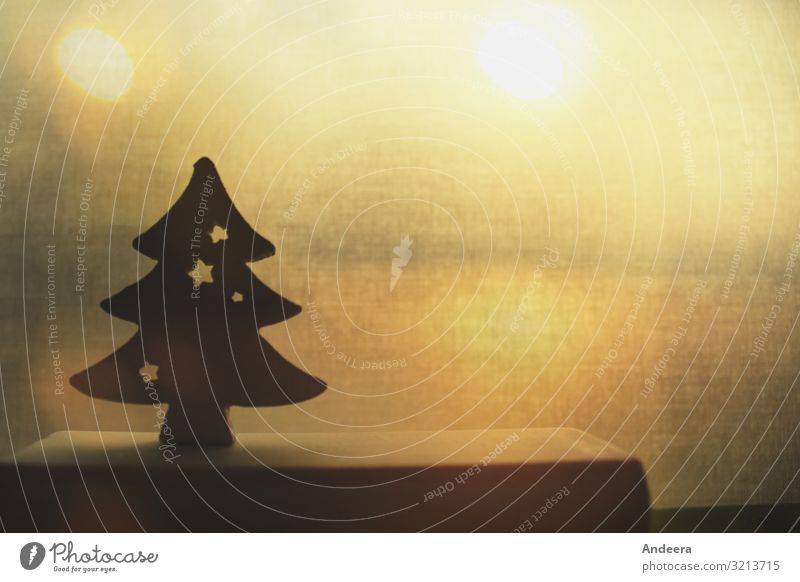 Weihnachtsdekoration mit Tannenbaum im goldenen Gegenlicht Feste & Feiern Weihnachten & Advent leuchten gelb schwarz Weihnachtsbaum Dekoration & Verzierung