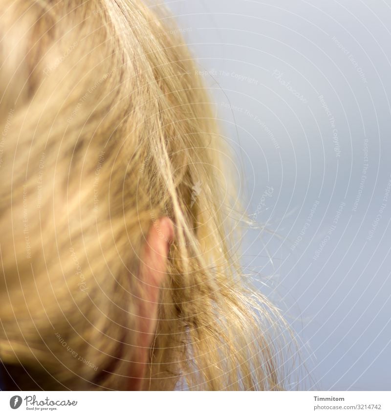 Schauen wie sie schaut (2) Kopf Frau Haare & Frisuren blond Nahaufnahme Himmel Ohr feminin Mensch Tag schauen