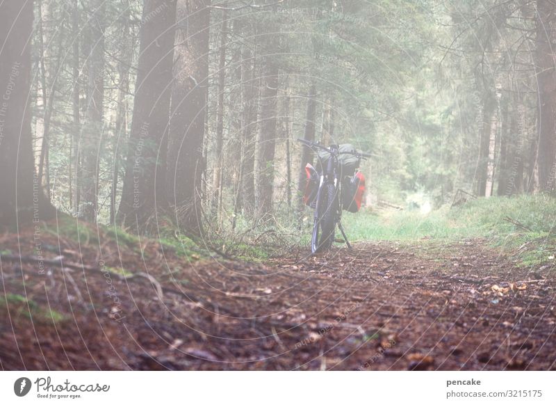 unscharf | benebelt Natur Landschaft Urelemente Erde Herbst Nebel Wald Wege & Pfade Fahrrad Mobilität e-bike elektrisch E-Mobilität Pause Ausflug Fahrradtour