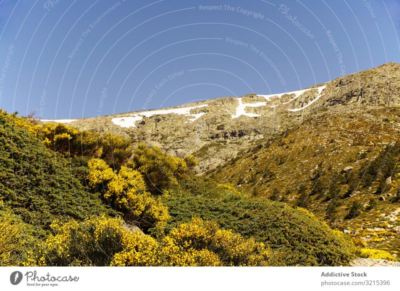 Malerische Landschaft mit grünen Bergen im Sommer Wald Natur malerisch Umwelt Hügel wild felsig wandern Höhe Botanik Flora Blauer Himmel sierra de guadarrama