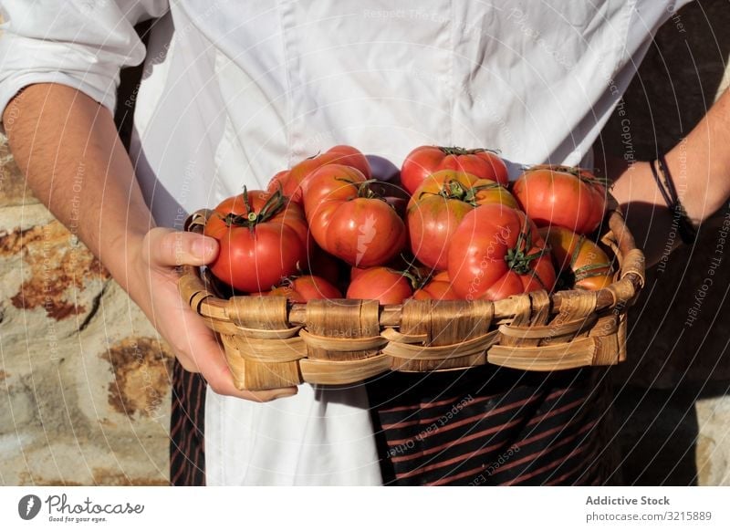 Glänzend reife Tomaten im braunen Weidenkorb Hände Vegetarier Lebensmittel glänzend organisch Gemüse roh frisch natürlich Frische ganz hell saftig Ernte lecker
