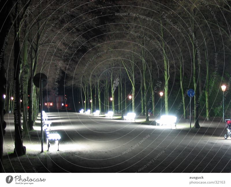 Strahlenweg01 Park Nacht Licht Bank Laterne Architektur Lampe sitzen Wege & Pfade