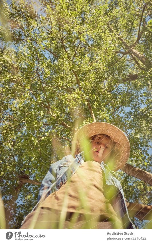 Junge mit Hut im langen Gras sitzend nachdenklich Landschaft Kind wenig Kindheit Spaß lässig Natur Sommer Wiese lustig aktiv Freiheit Licht Park bezaubernd